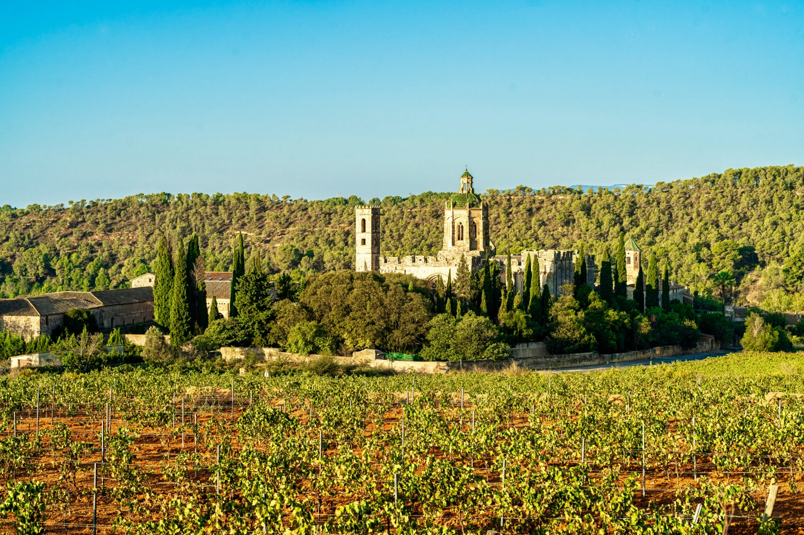 albereda de santes creus