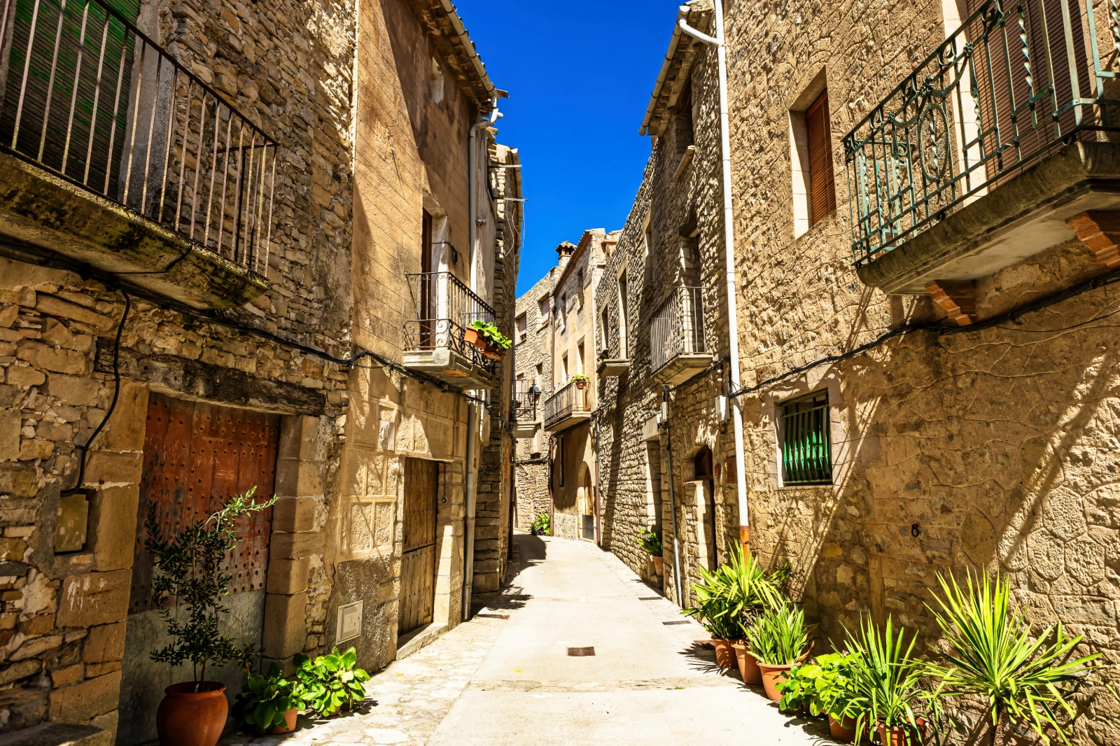 TARDA · CONESA