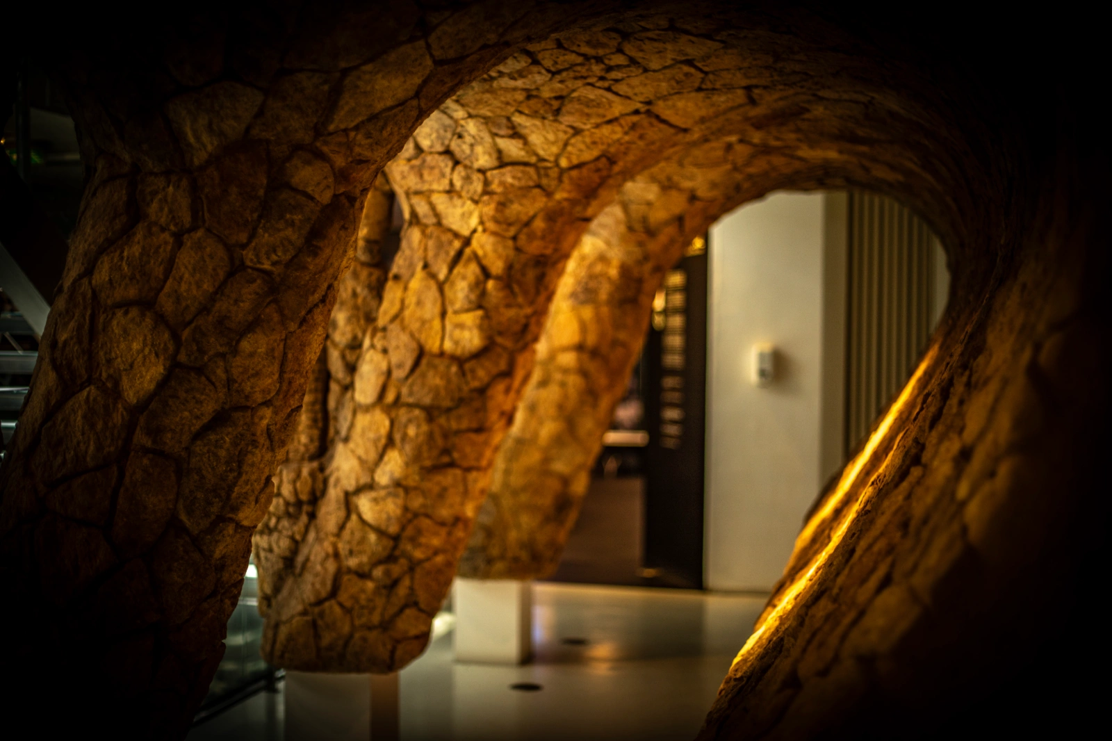 Tarda · Gaudí Centre i Ruta del modernisme