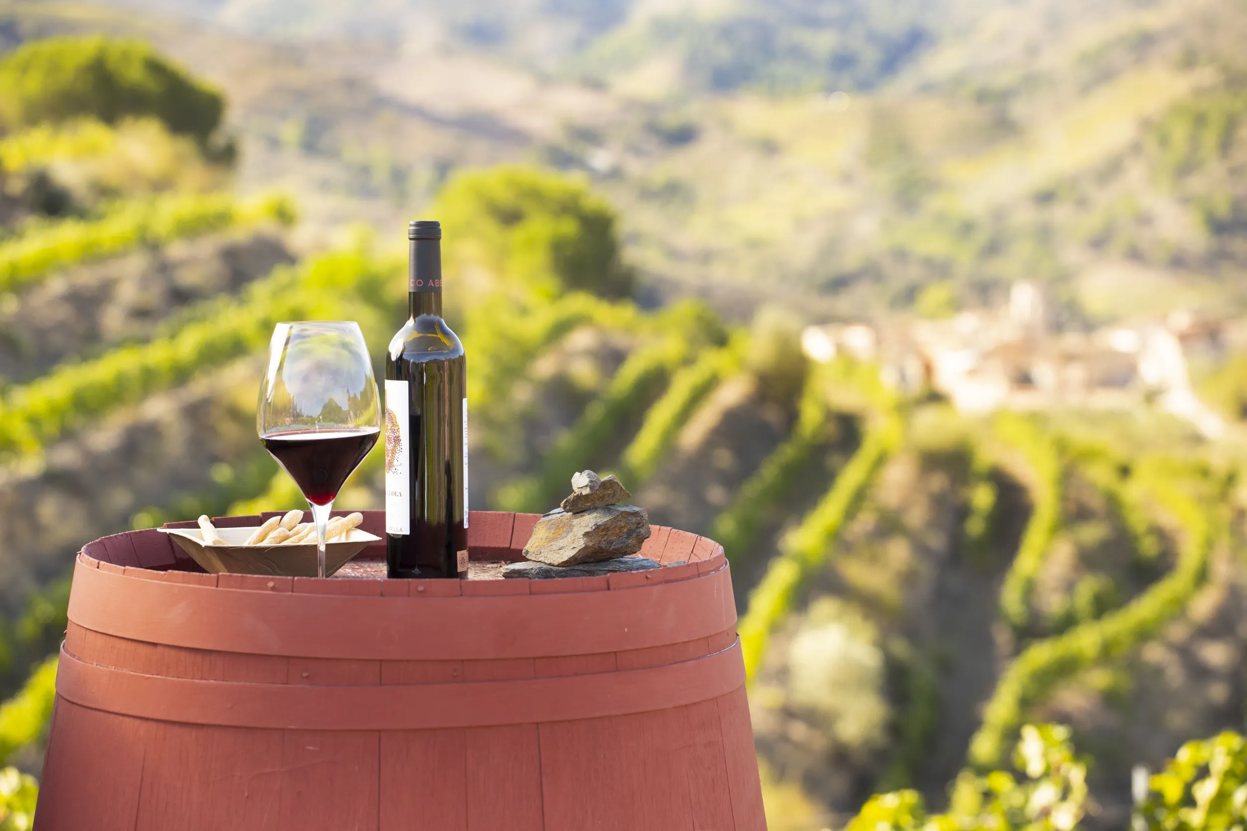 enoturismo y viñas