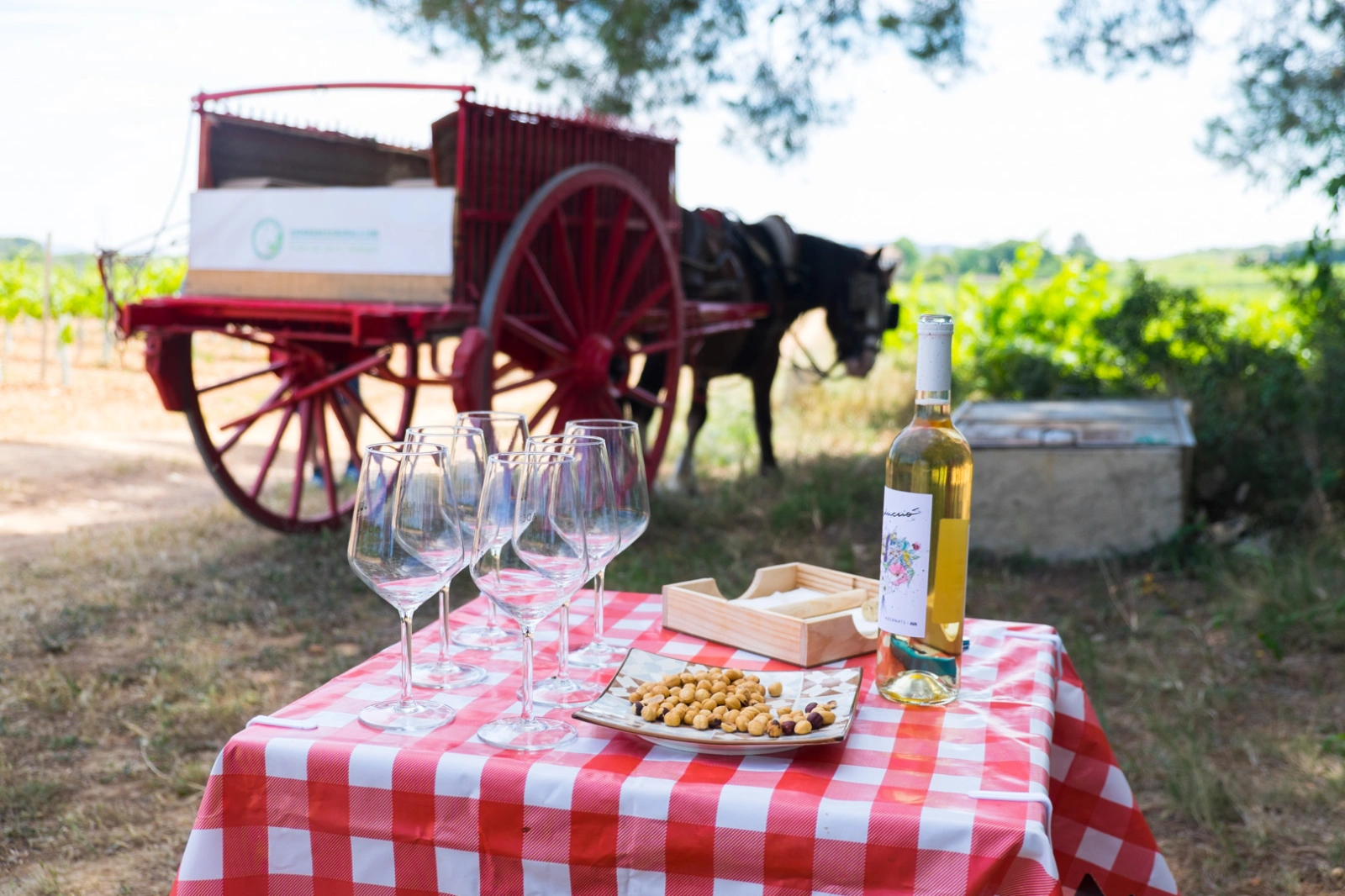 alt camp y viñedo