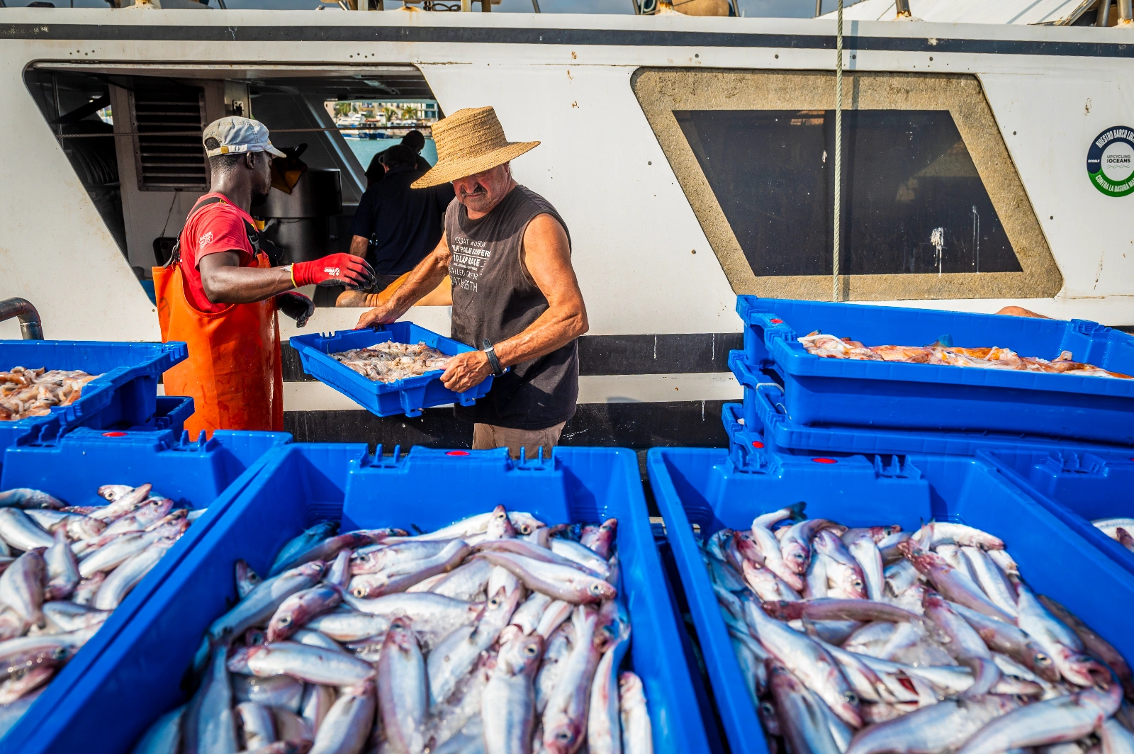 llegada de pescadores al puerto de cambrils