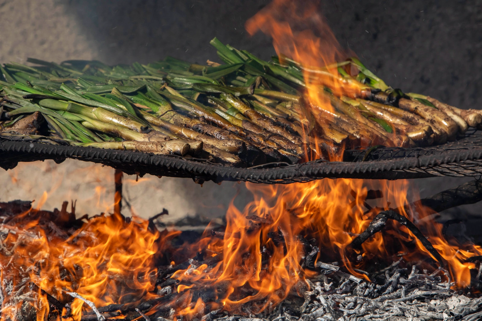 calçots al fuego