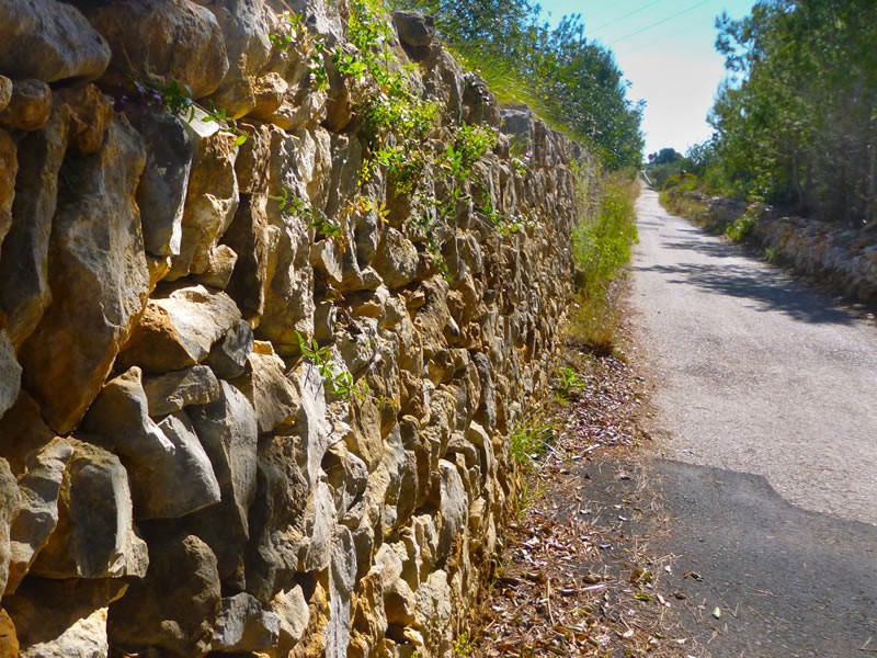 Rutes a peu i amb bicicleta a Torredembarra