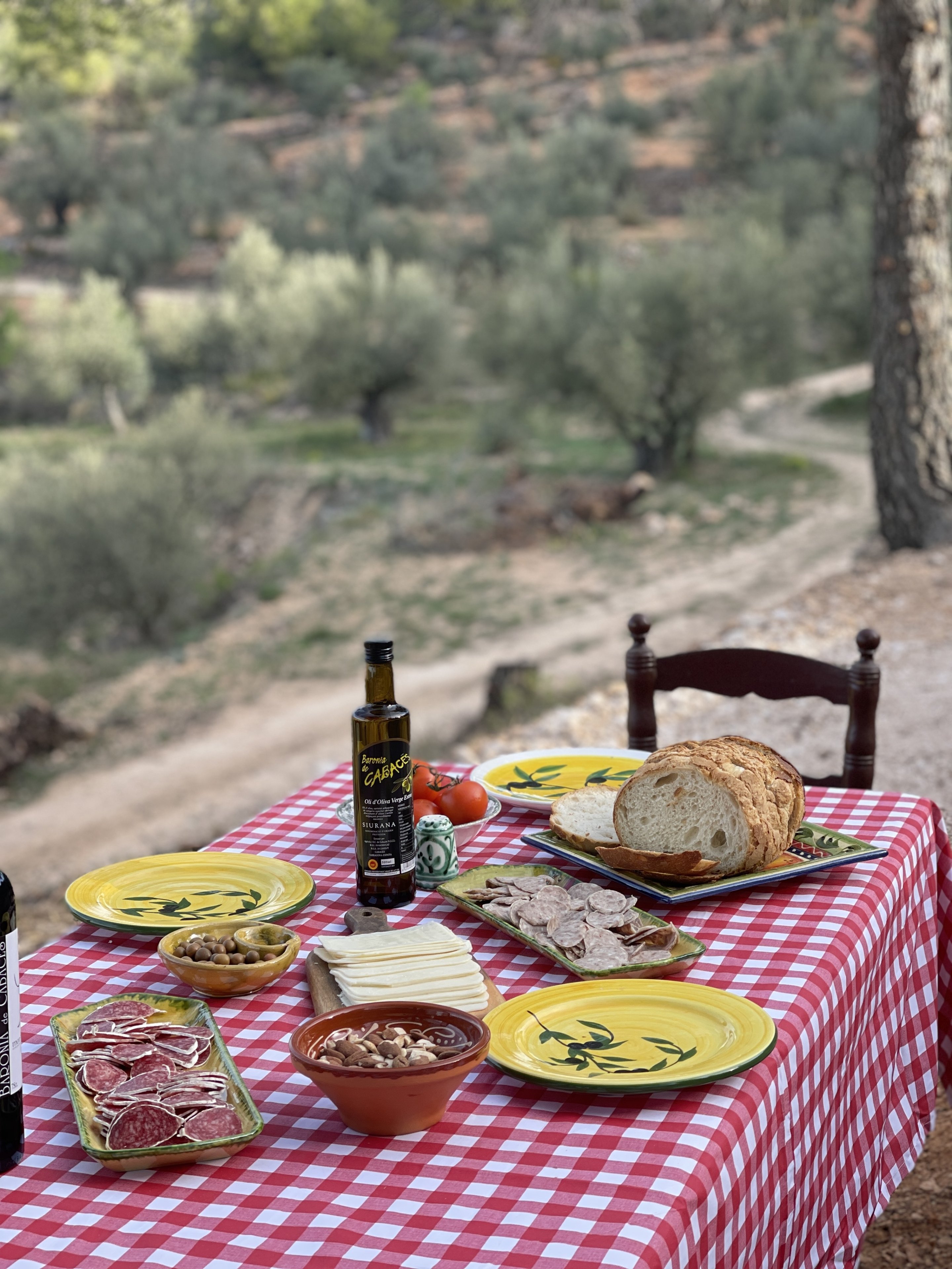 Esmorzar entre oliveres