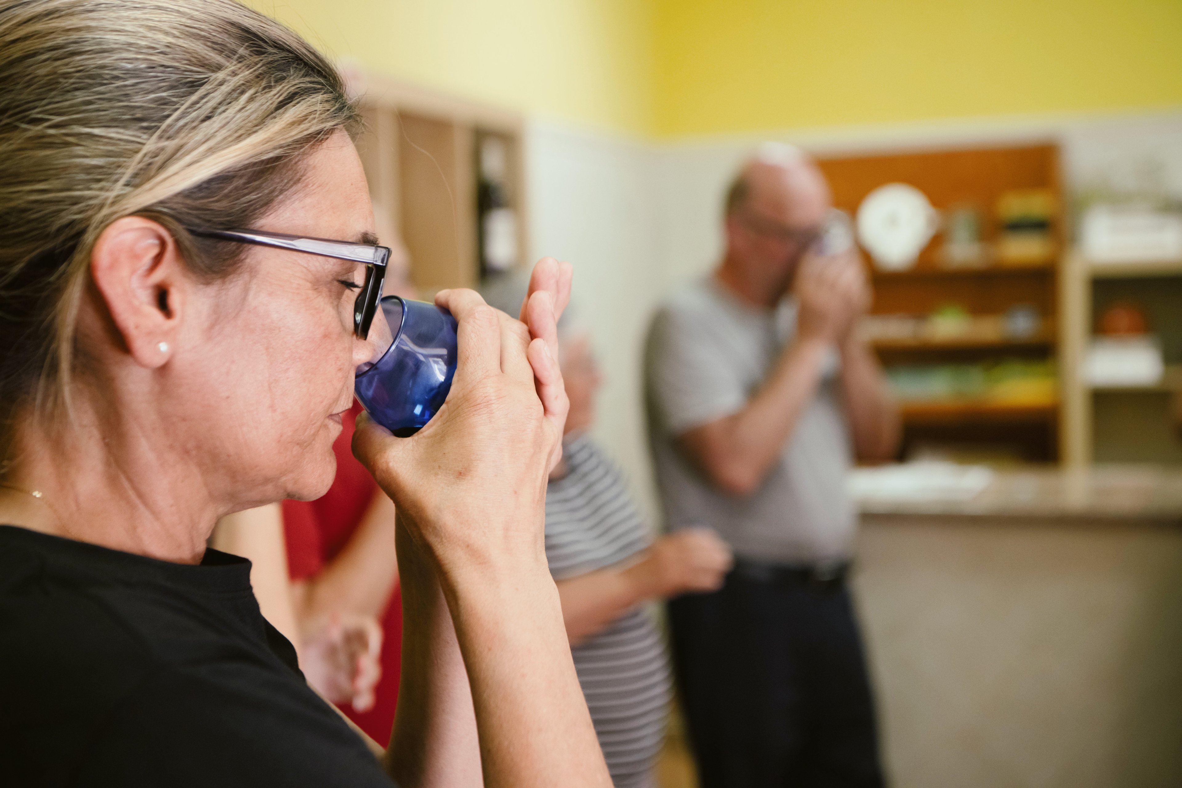 Visita al molí i tast d'olis