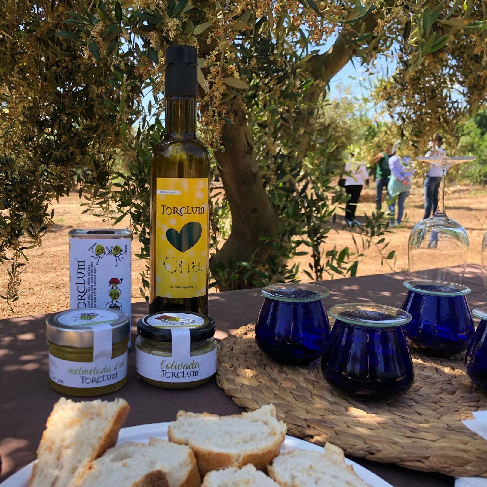 Oleoturisme al Baix Penedès