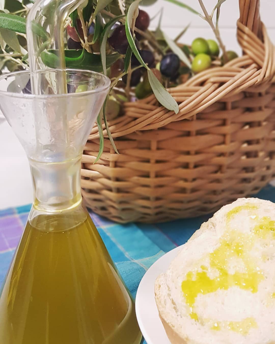 De l'olivera a la taula