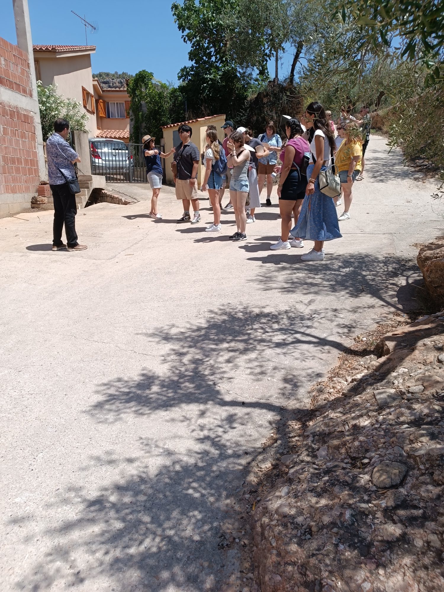 Visita al molí i tast d'olis a Cabacés
