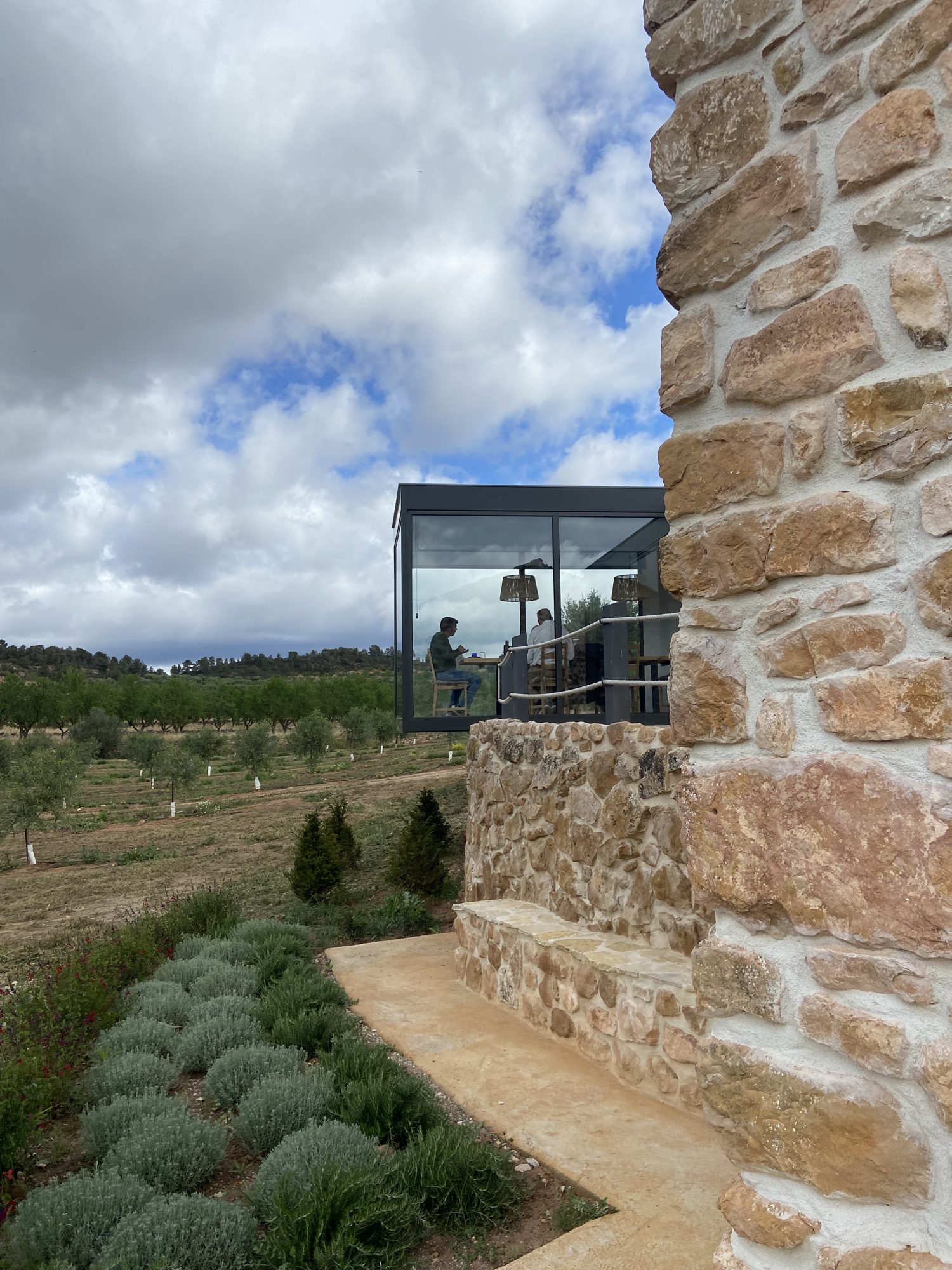 Esmorzar mediterrani i tast entre oliveres