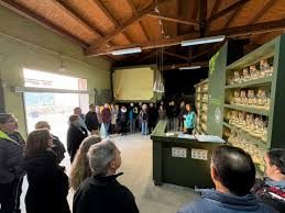 Visita guiada al Molí de Vandellòs