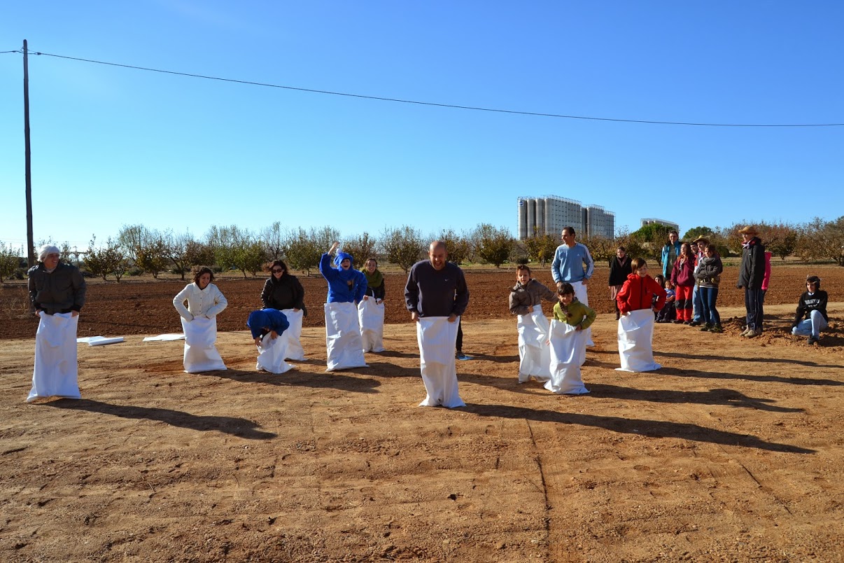 Cursa de sacs
