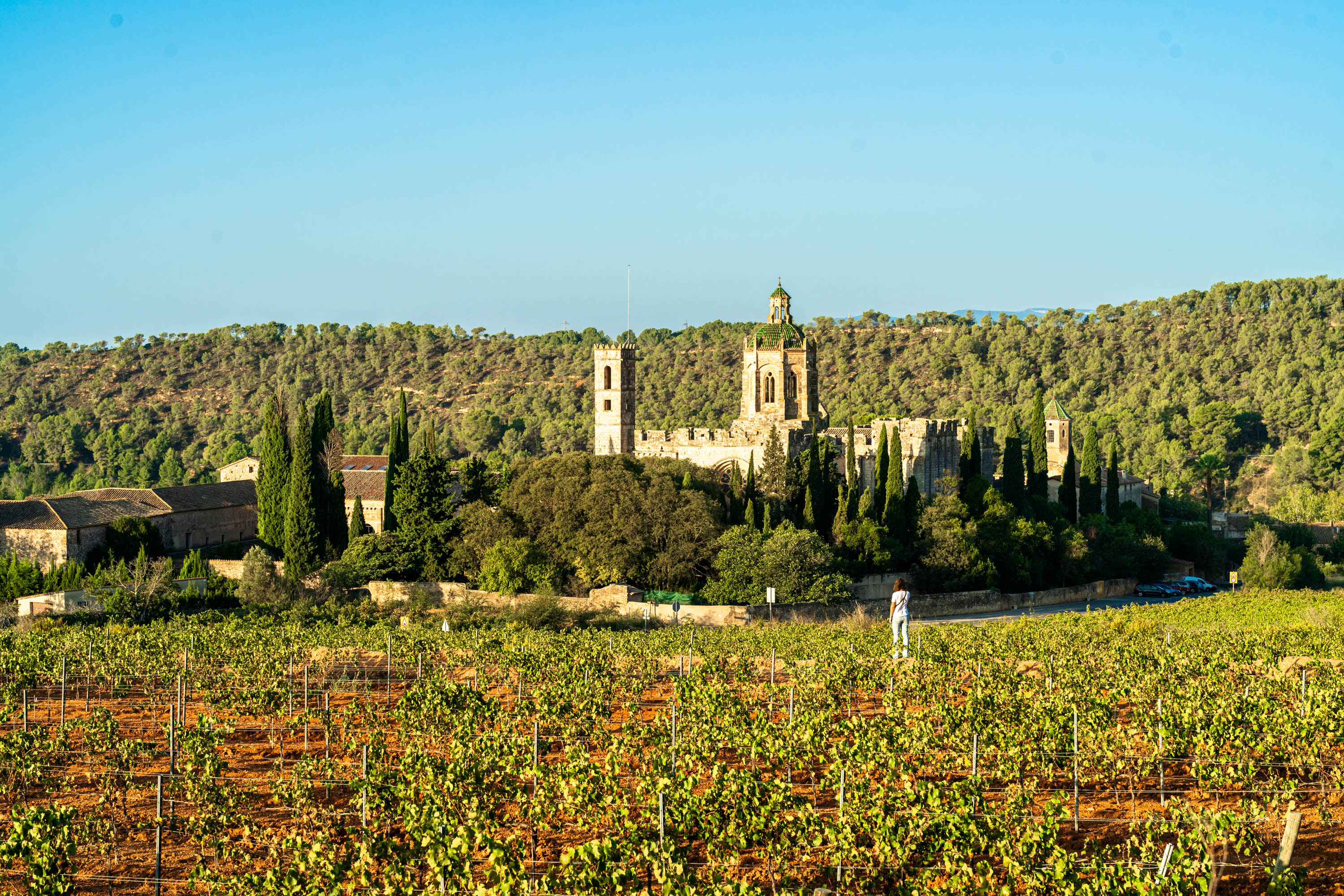 Monestir Santes Creus