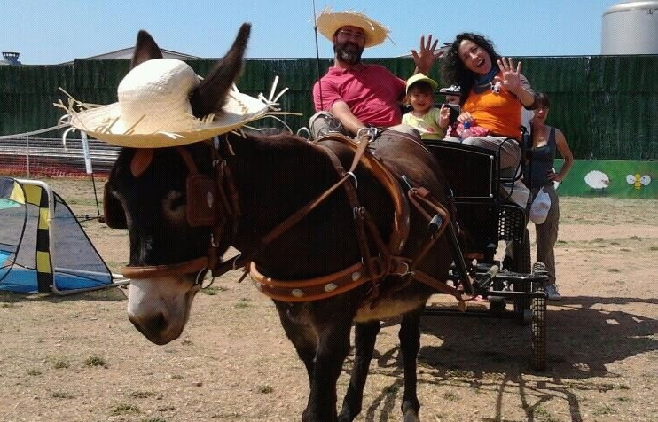 Dia de Granja