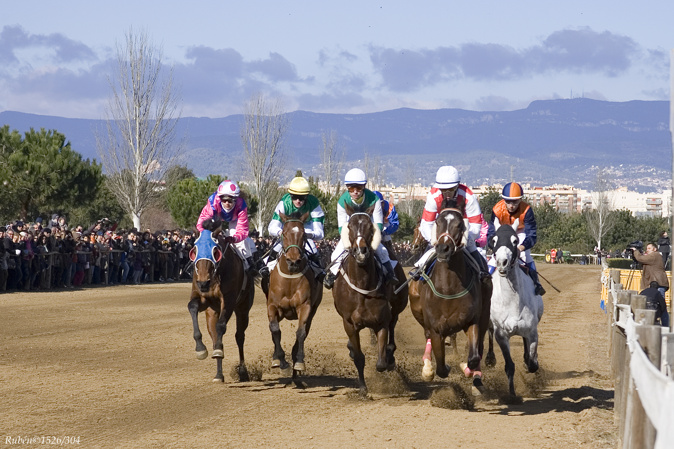 Curses de cavalls per la festa major