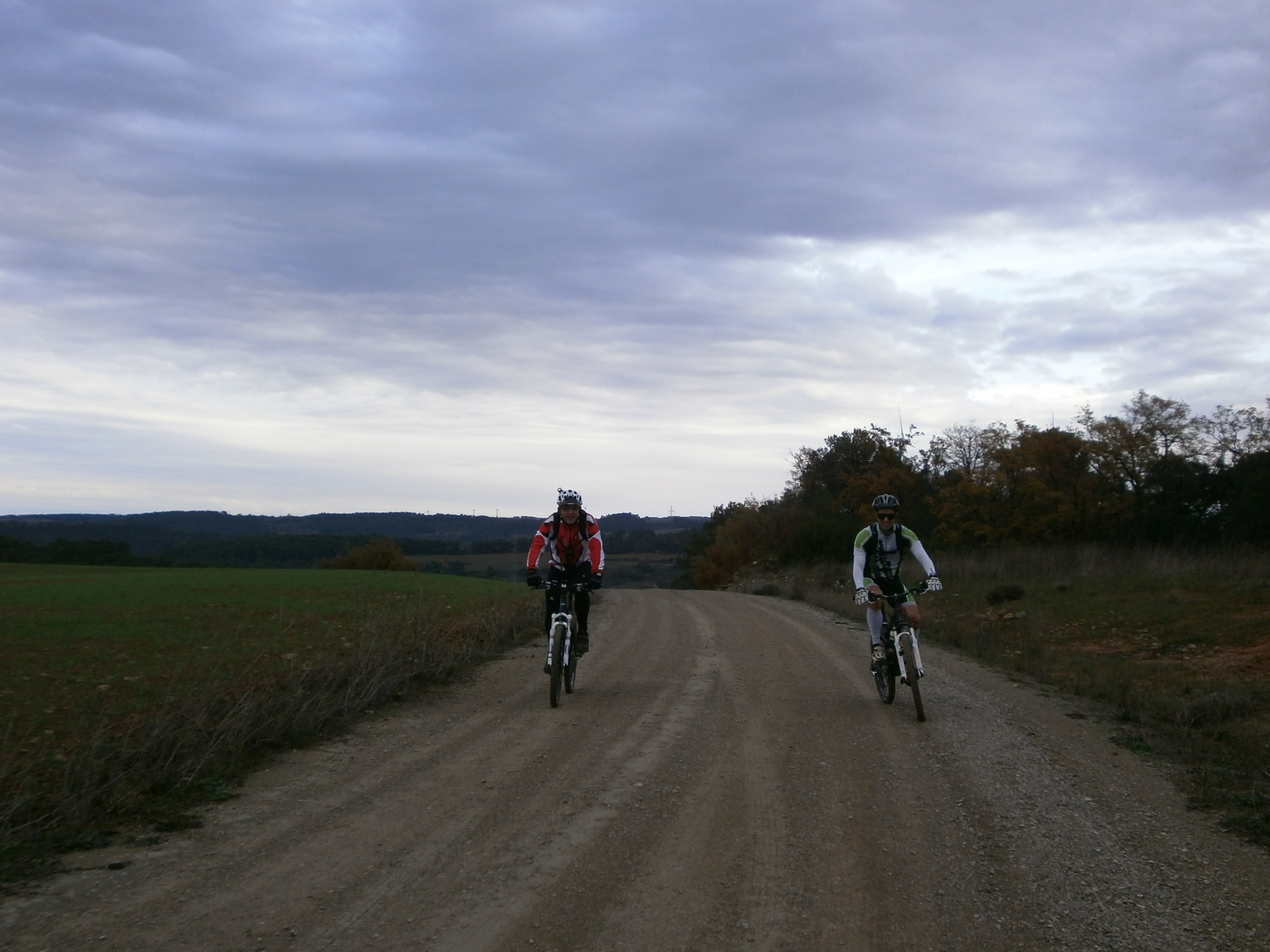Ruta del Cister