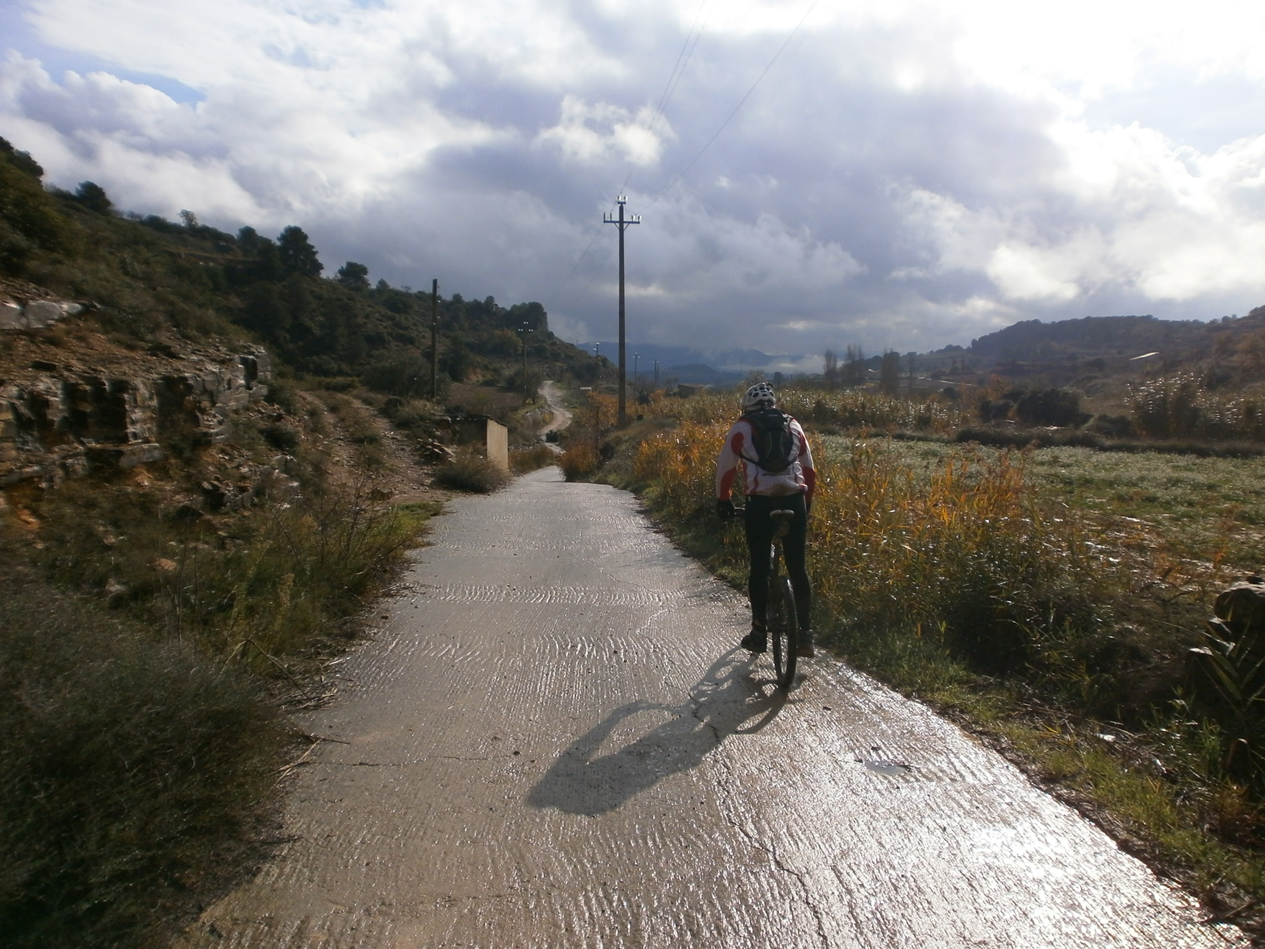 Ruta del Cister