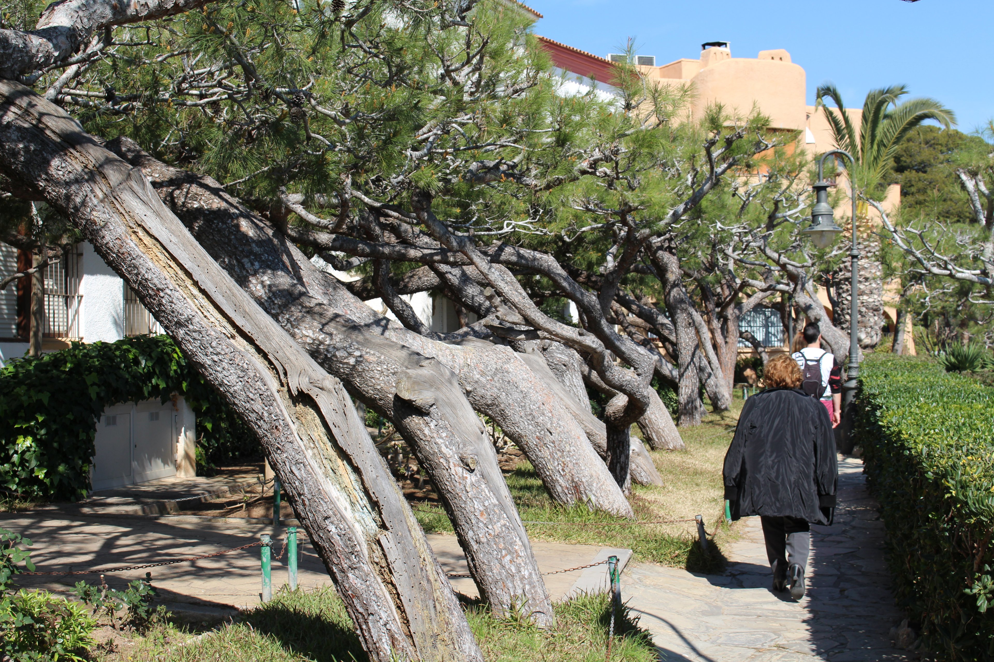 Dalí i Luis del Olmo, “protagonistes” del Roc de Sant Gaietà