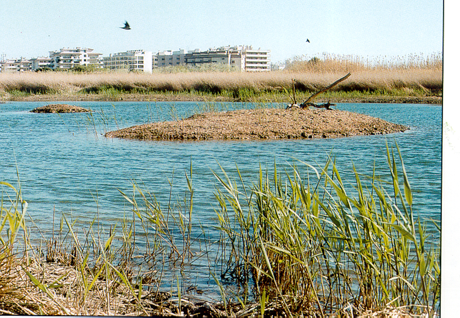 Sèquia de Vila-seca