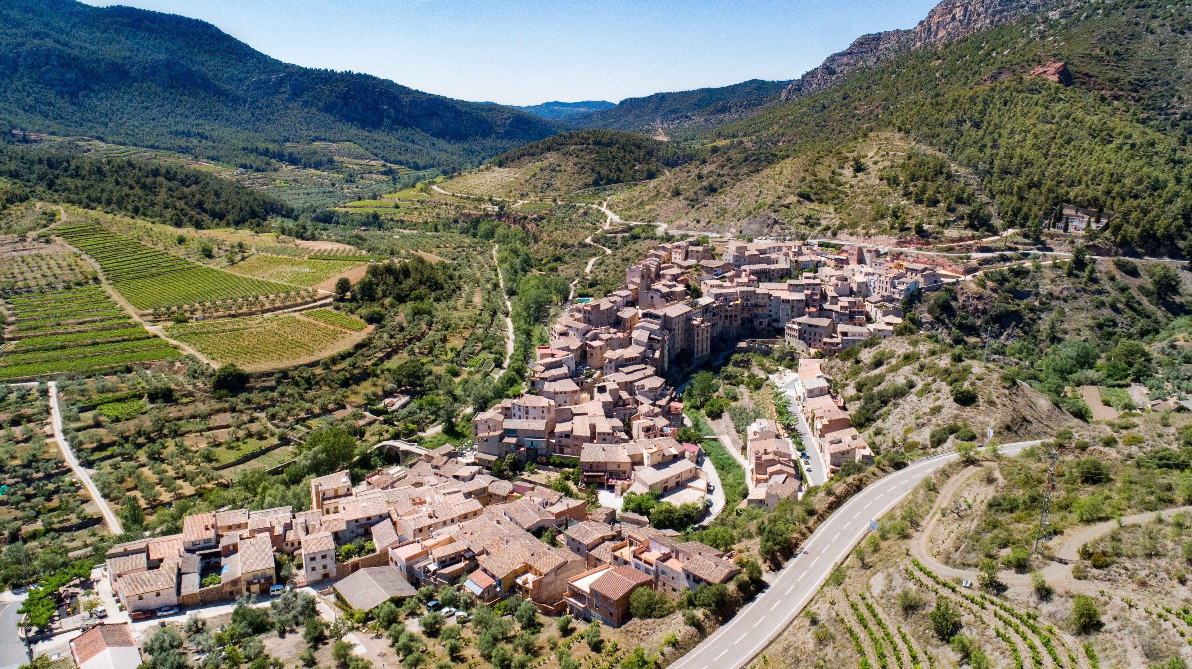 Vilella Baixa_©Consell Regulador de la DOQ Priorat | Vilaniu Comunicació