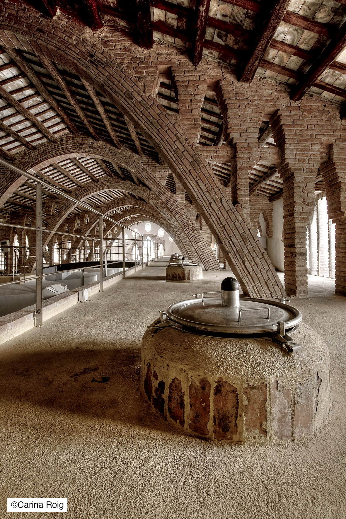 Gaudeix d’un dia en família a una Catedral del Vi