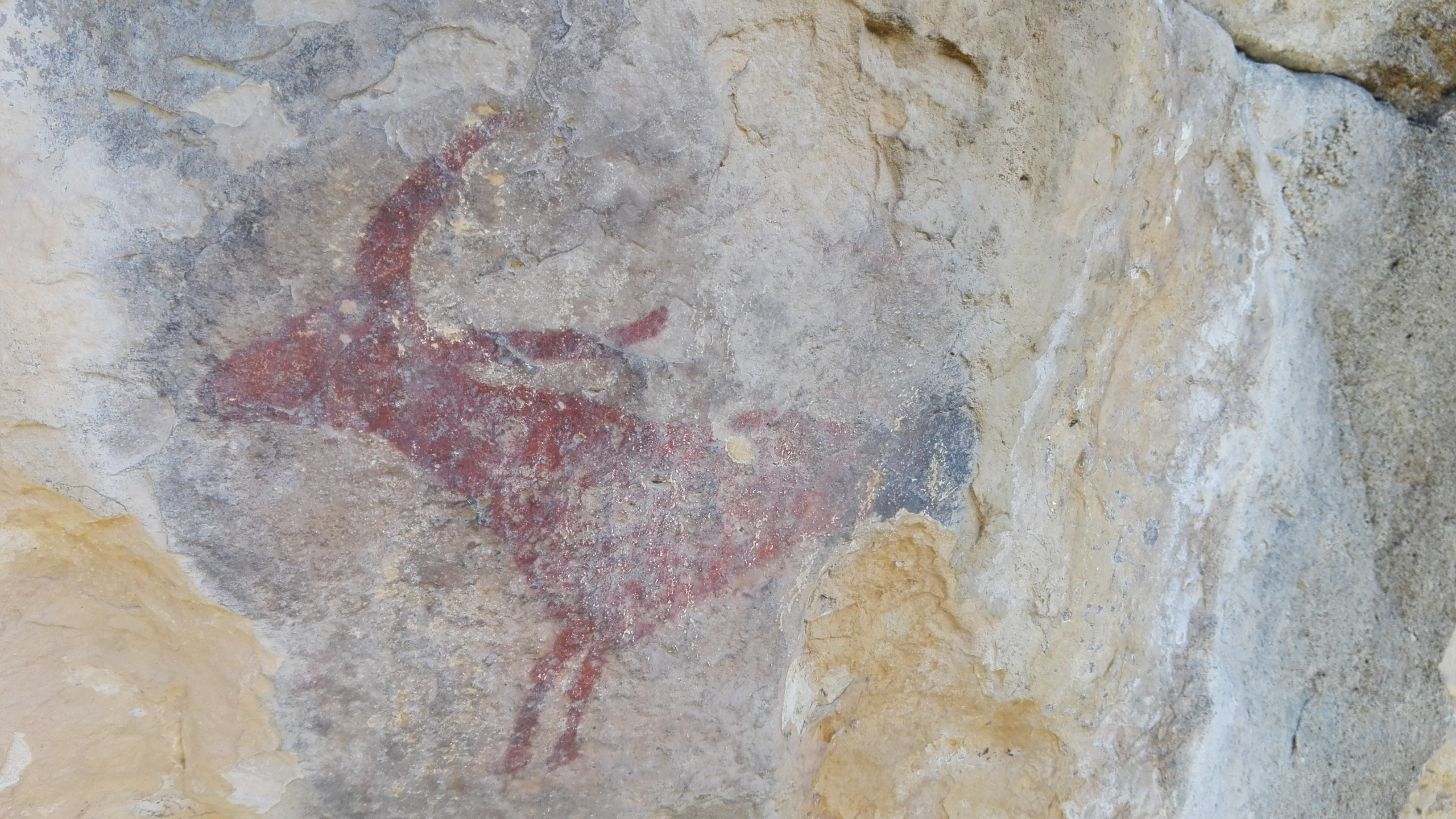 Les pintures rupestres de Montbanc a Sarral