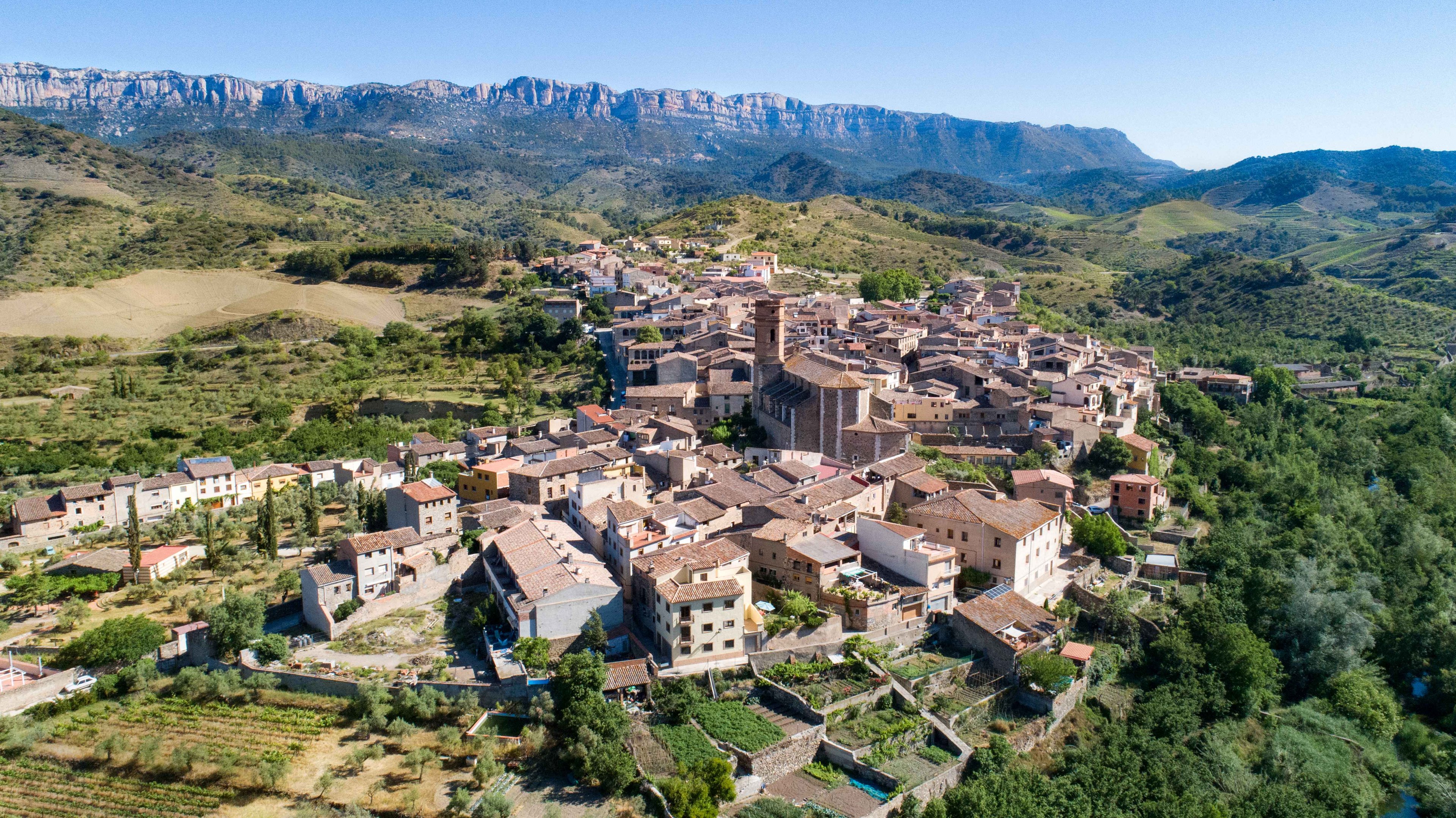 Poboleda_©Consell Regulador de la DOQ Priorat | Vilaniu Comunicació
