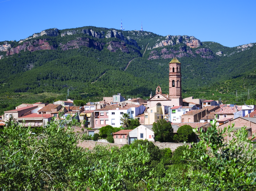 Fem una volta per la boira de la Mussara?