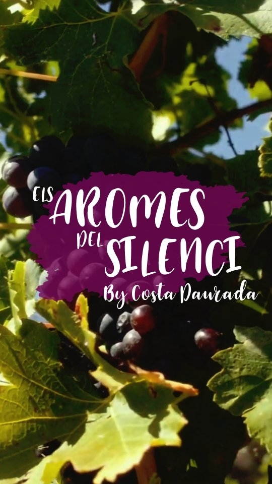Deixa't embolcallar pel paisatge de la Serra de Montsant…