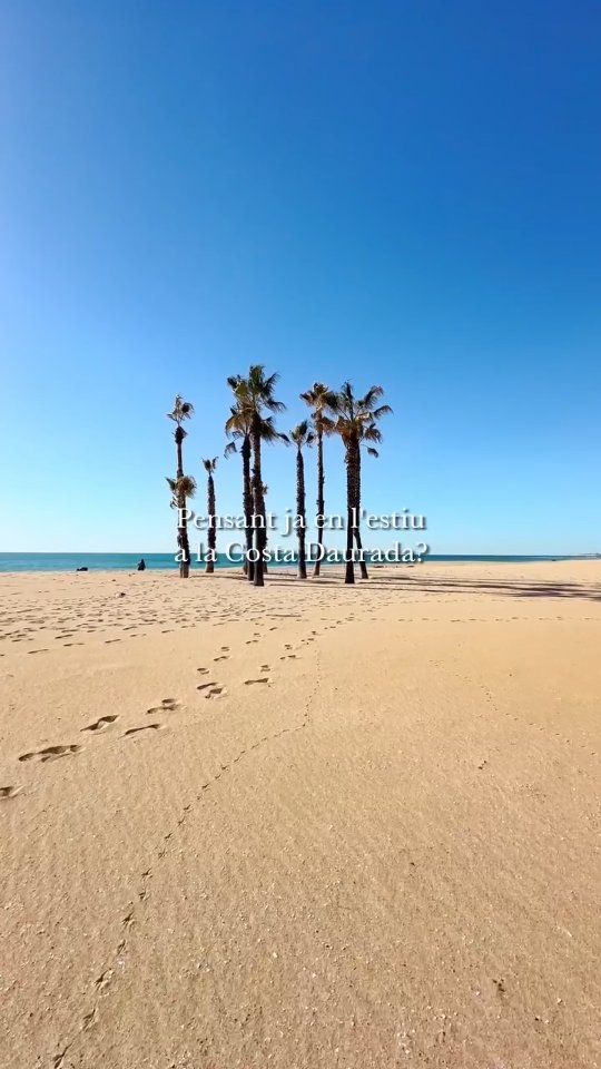 Somniant amb l'estiu? Només queden tres mesos perquè la…