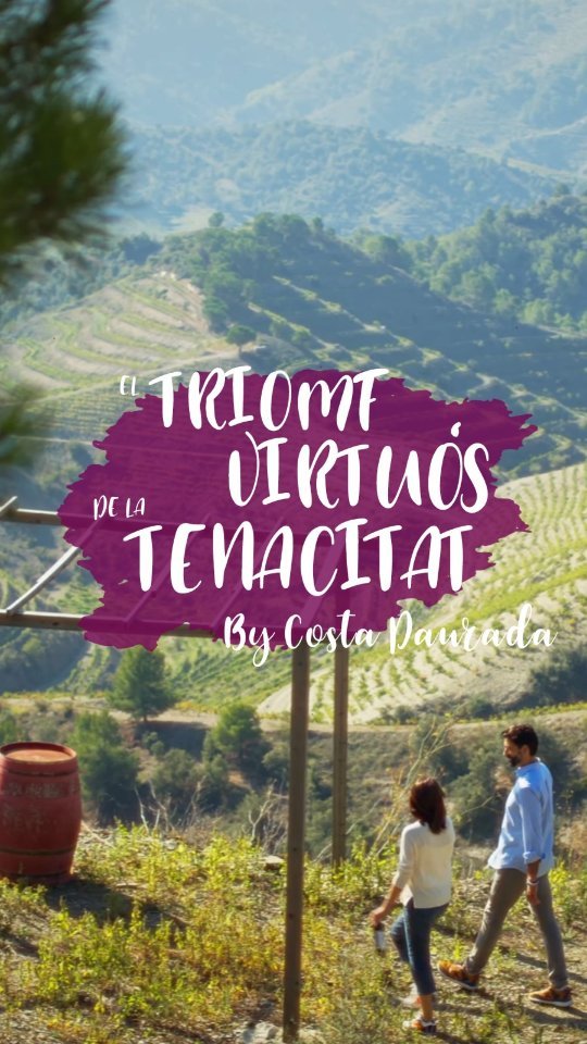 Al Priorat la producció de vi marca un paisatge esquitxat…