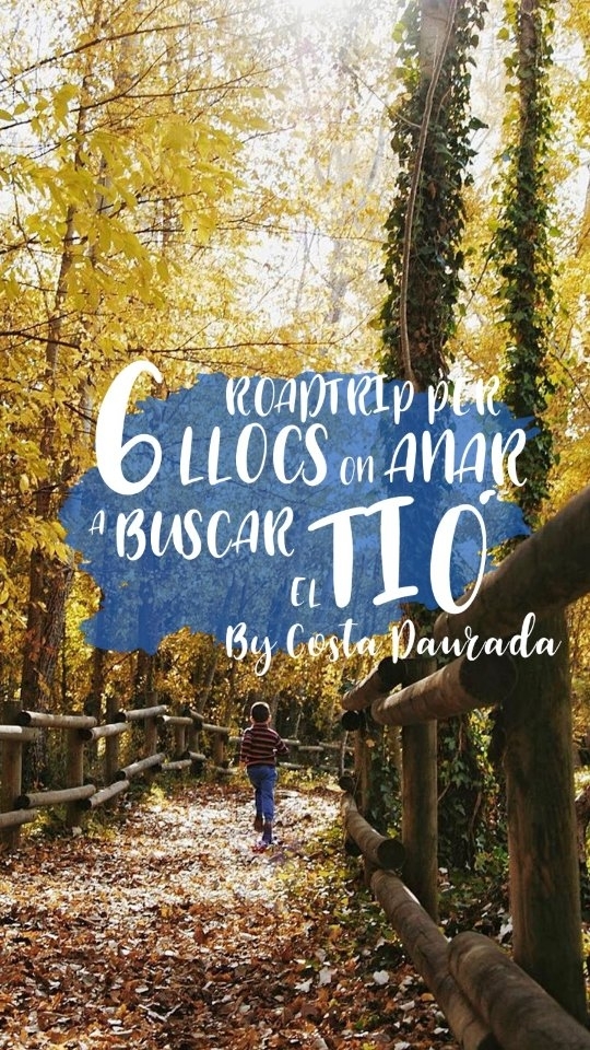 A punt per anar a buscar el Tió amb els més petits i…