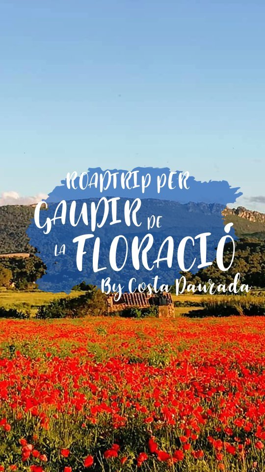 A la primavera, la Costa Daurada llueix amb l'espectacle de…