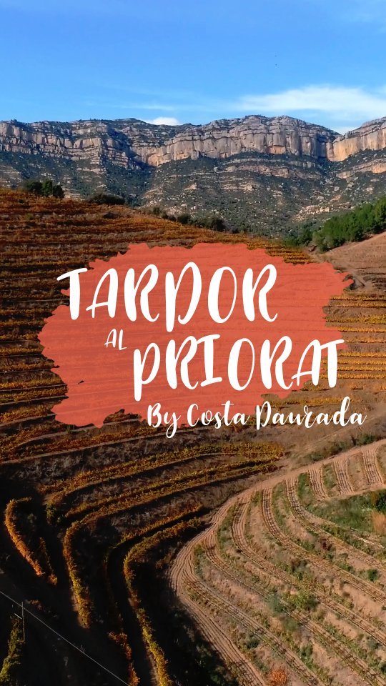 La tardor al Priorat és un espectacle per als sentits! La…