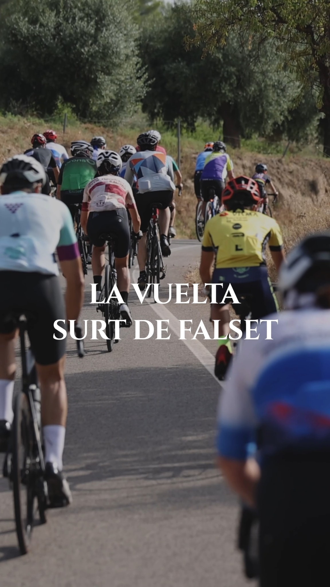 Entre vinyes, carreteres sinuoses i paisatges de postal, la…