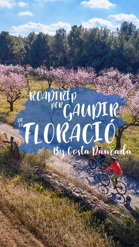 Al febrer, els paisatges de la Costa Daurada s'esquitxen de…