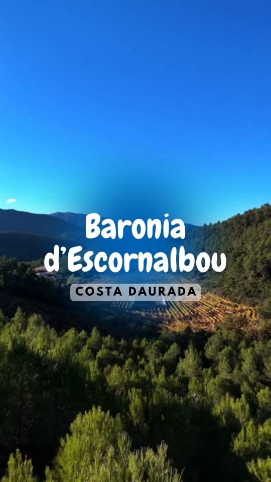 Ja heu descobert la Baronia d'Escornalbou, un tresor al cor…