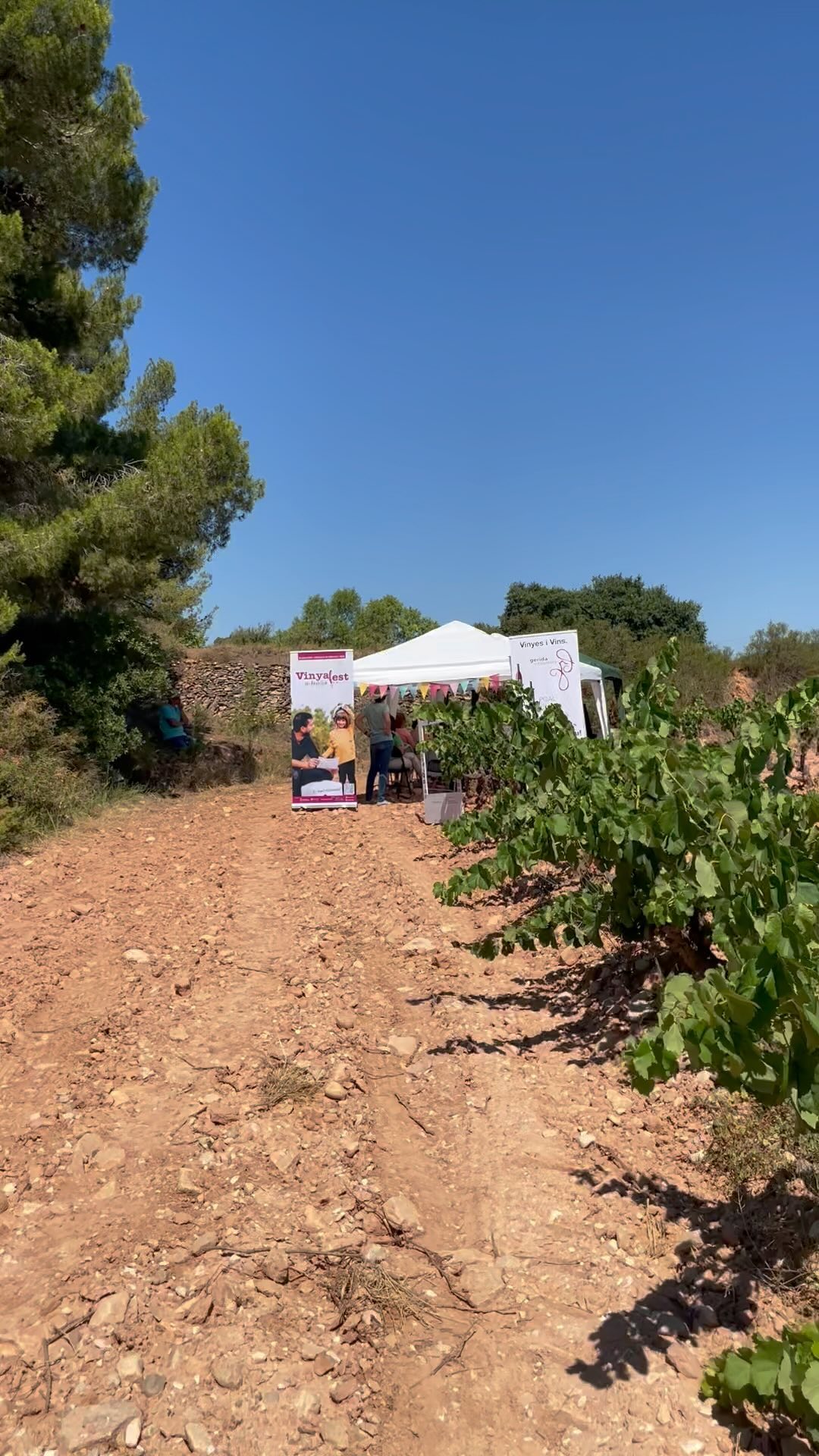 Amb els contes i les històries al camp i a la vinya arrenca…