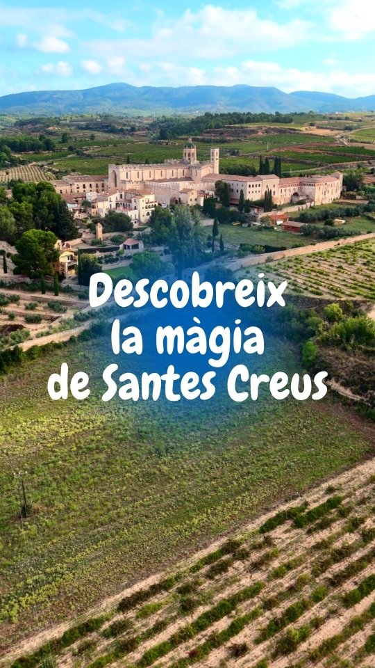 Voleu descobrir la màgia de l’albereda i submergir-vos en…