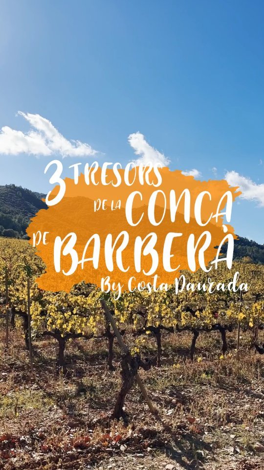 Voleu descobrir tres tresors imprescindibles de la Conca de…