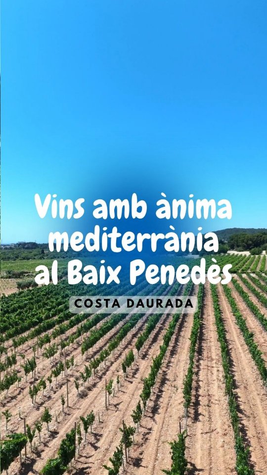 Entre l’horitzó blau del Mediterrani i la serenitat de les…